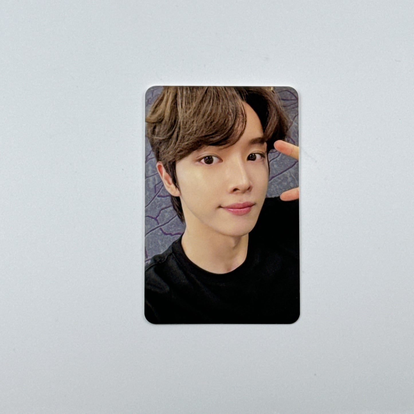 Riize - The 1st Mini Riizing (Collect Book Ver.) Photocards